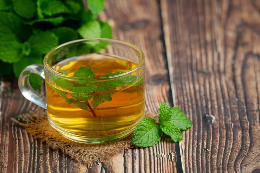 Lemon Balm Tea